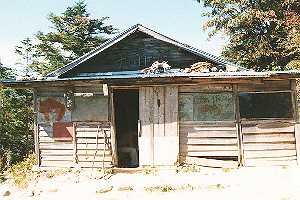 ���n��`�܍��ڏ����`���䏬�� | �b���˔����R�s