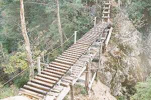 ���n��`�܍��ڏ����`���䏬�� | �b���˔����R�s