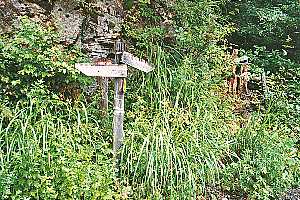 �瓪�_���`�����썶�ݗѓ��`���x�o�R�� | ��A���v�X�P�Əc��