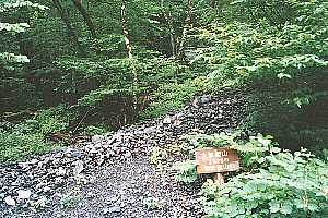 �瓪�_���`�����썶�ݗѓ��`���x�o�R�� | ��A���v�X�P�Əc��