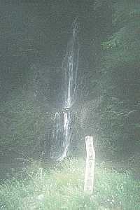 �瓪�_���`�����썶�ݗѓ��`���x�o�R�� | ��A���v�X�P�Əc��