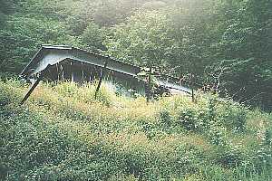 �瓪�_���`�����썶�ݗѓ��`���x�o�R�� | ��A���v�X�P�Əc��