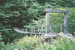 �瓪�_���`�����썶�ݗѓ��`���x�o�R�� | ��A���v�X�P�Əc��