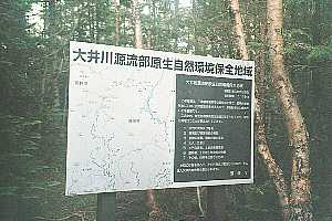 ���x�o�R���`���x�`������ | ��A���v�X�P�Əc��