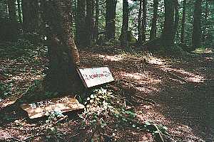 ���x�o�R���`���x�`������ | ��A���v�X�P�Əc��