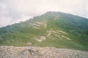 ���x�o�R���`���x�`������ | ��A���v�X�P�Əc��