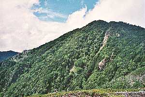 ���x�o�R���`���x�`������ | ��A���v�X�P�Əc��