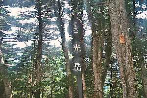 ���x�o�R���`���x�`������ | ��A���v�X�P�Əc��