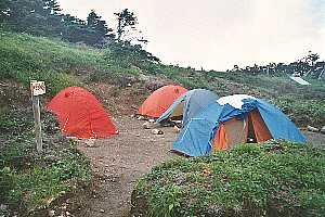 ���x�o�R���`���x�`������ | ��A���v�X�P�Əc��