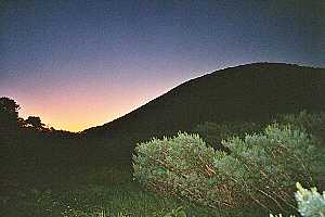 �������`�՘V�x�`��]��`���P�x | ��A���v�X�P�Əc��