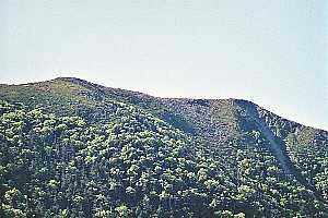 �������`�՘V�x�`��]��`���P�x | ��A���v�X�P�Əc��