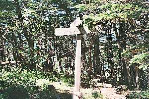 �������`�՘V�x�`��]��`���P�x | ��A���v�X�P�Əc��