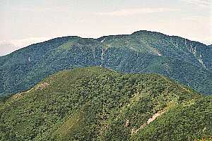 �������`�՘V�x�`��]��`���P�x | ��A���v�X�P�Əc��