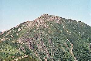 �������`�՘V�x�`��]��`���P�x | ��A���v�X�P�Əc��