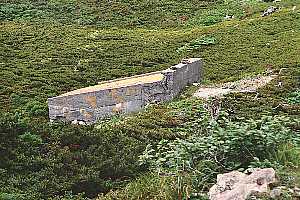 ���������`�����x�`���x�`�e�x | ��A���v�X�P�Əc��