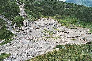 �e�x�`���e�x�`�����ێR�`�S�ԓ��R�̉� | ��A���v�X�P�Əc��