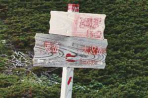 �e�x�`���e�x�`�����ێR�`�S�ԓ��R�̉� | ��A���v�X�P�Əc��