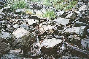 �F�̕��`�_�������`�_���x�`�_�������`�ԃm�x�`�k�x�R�� | ��A���v�X�P�Əc��