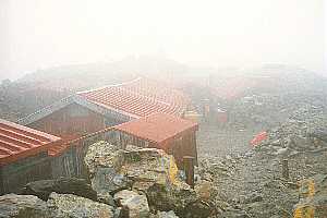 �F�̕��`�_�������`�_���x�`�_�������`�ԃm�x�`�k�x�R�� | ��A���v�X�P�Əc��