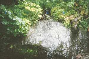 �k�x�R���`���{���̃R���`�񖓁`�L�͌� | ��A���v�X�P�Əc��