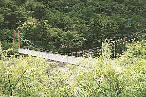 �k�x�R���`���{���̃R���`�񖓁`�L�͌� | ��A���v�X�P�Əc��