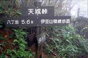 �C�P���`�V�铻�o�X��`���V��g���l���`�V�铻�`�����r | �V��c���n�C�L���O