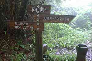 �C�P���`�V�铻�o�X��`���V��g���l���`�V�铻�`�����r | �V��c���n�C�L���O