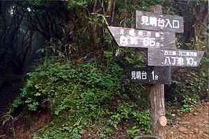 �C�P���`�V�铻�o�X��`���V��g���l���`�V�铻�`�����r | �V��c���n�C�L���O