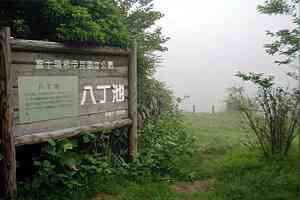 �C�P���`�V�铻�o�X��`���V��g���l���`�V�铻�`�����r | �V��c���n�C�L���O