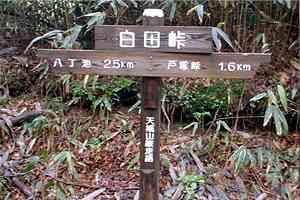 �����r�`���c���`�˒˓��`���x�`�А����`���O�Y�x | �V��c���n�C�L���O