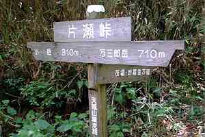 �����r�`���c���`�˒˓��`���x�`�А����`���O�Y�x | �V��c���n�C�L���O