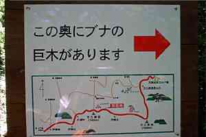 ���O�Y�x�`����Y�x�`�l�ҁ`�V�鍂�� | �V��c���n�C�L���O