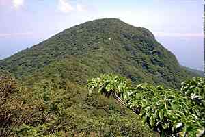 ���O�Y�x�`����Y�x�`�l�ҁ`�V�鍂�� | �V��c���n�C�L���O