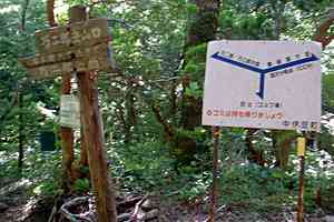 ���O�Y�x�`����Y�x�`�l�ҁ`�V�鍂�� | �V��c���n�C�L���O