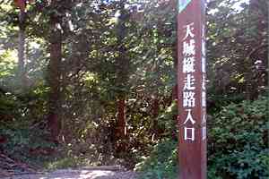 ���O�Y�x�`����Y�x�`�l�ҁ`�V�鍂�� | �V��c���n�C�L���O