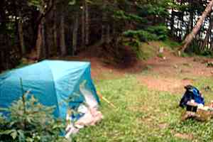 ��������`�k�䏊�o�R���`�������`���ǂ�⓻�`������ | �ؑ]��c��