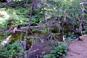 ��������`�k�䏊�o�R���`�������`���ǂ�⓻�`������ | �ؑ]��c��