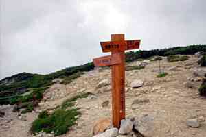 �ؑ]��x�`�󌕊x�`�Ɋy���`�w���x | �ؑ]��c��