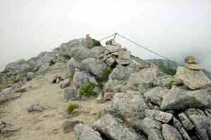 �ؑ]��x�`�󌕊x�`�Ɋy���`�w���x | �ؑ]��c��