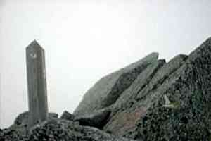 �ؑ]��x�`�󌕊x�`�Ɋy���`�w���x | �ؑ]��c��