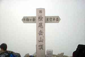 �ؑ]��x�`�󌕊x�`�Ɋy���`�w���x | �ؑ]��c��