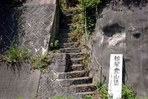 �w���x�`�ԑ�̓��`�w�����`������� | �ؑ]��c��