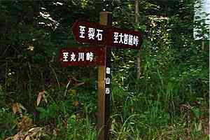 ���R�w�`���΁`�ې쓻�`���F�� | ���F���n�C�L���O