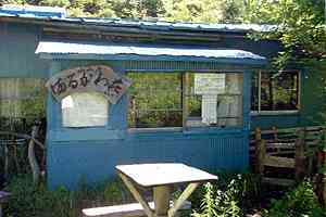 ���R�w�`���΁`�ې쓻�`���F�� | ���F���n�C�L���O