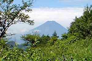 ���R�w�`���΁`�ې쓻�`���F�� | ���F���n�C�L���O