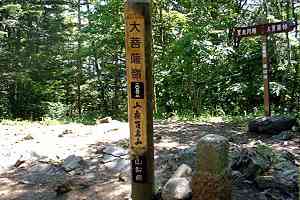 ���R�w�`���΁`�ې쓻�`���F�� | ���F���n�C�L���O