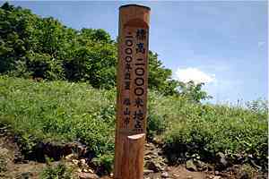 ���F��`����`�΃m�͌��`���F�� | ���F���n�C�L���O