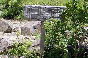 ���F��`����`�΃m�͌��`���F�� | ���F���n�C�L���O