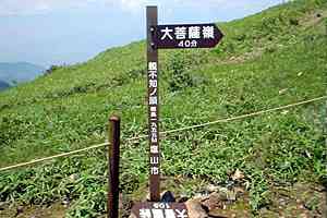 ���F��`����`�΃m�͌��`���F�� | ���F���n�C�L���O