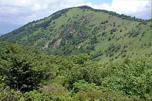 ���F��`����`�΃m�͌��`���F�� | ���F���n�C�L���O